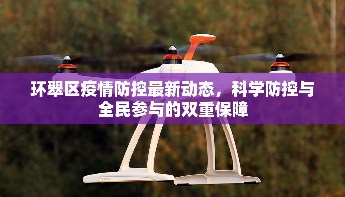 环翠区疫情防控最新动态，科学防控与全民参与的双重保障