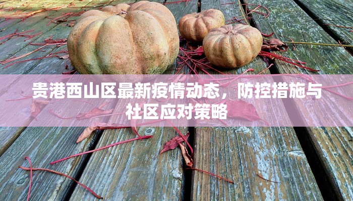 太原铁路关于疫情防控最新公告，出行须知与政策调整详解