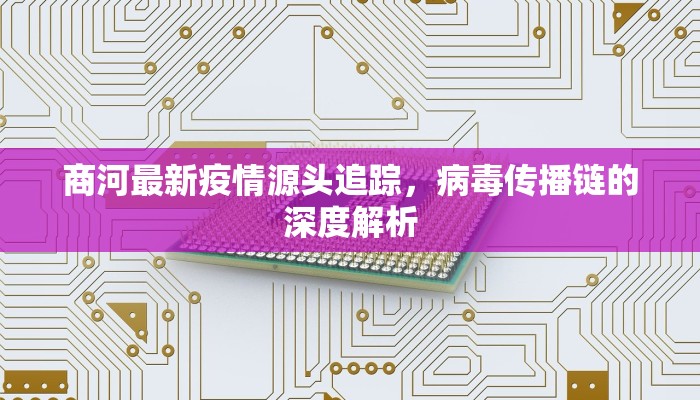 商河最新疫情源头追踪，病毒传播链的深度解析