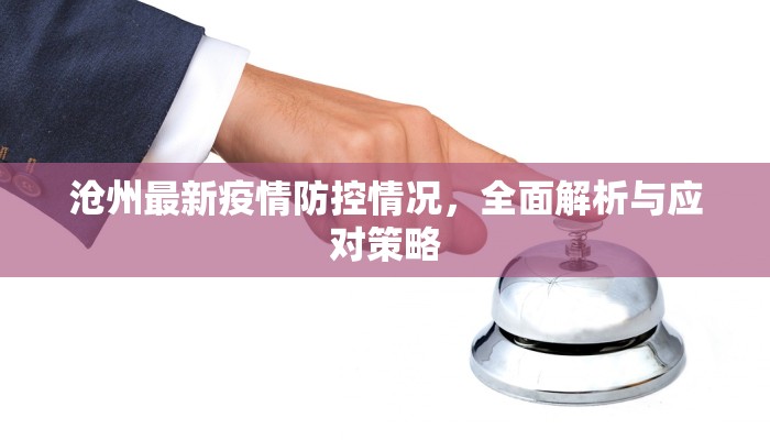 沧州最新疫情防控情况，全面解析与应对策略