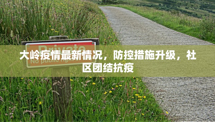 大岭疫情最新情况，防控措施升级，社区团结抗疫