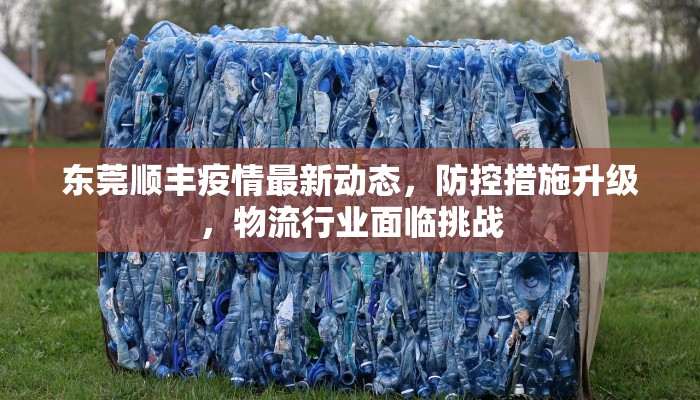 东莞顺丰疫情最新动态，防控措施升级，物流行业面临挑战