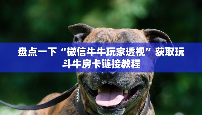 盘点一下“微信牛牛玩家透视”获取玩斗牛房卡链接教程