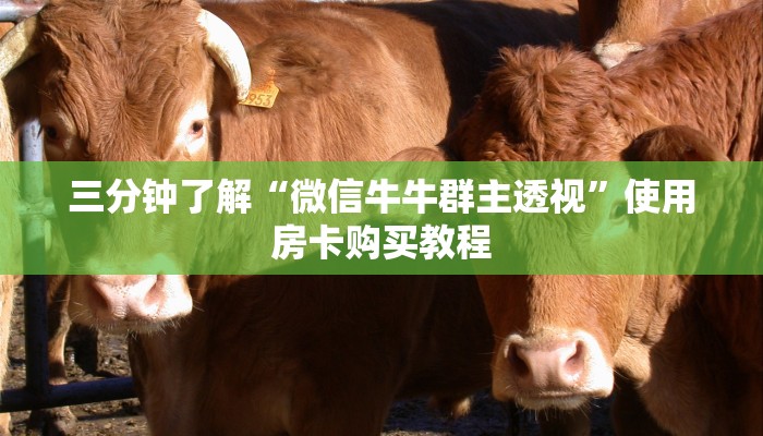 三分钟了解“微信牛牛群主透视”使用房卡购买教程