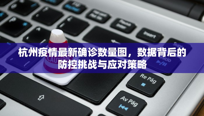 杭州疫情最新确诊数量图，数据背后的防控挑战与应对策略