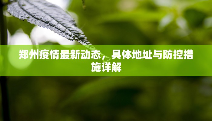 郑州疫情最新动态，具体地址与防控措施详解