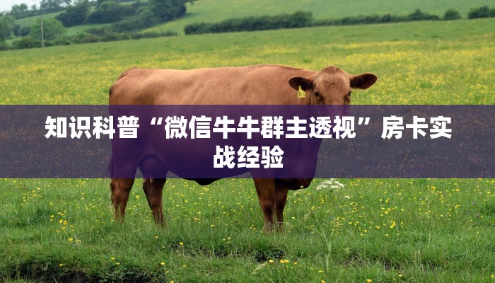 知识科普“微信牛牛群主透视”房卡实战经验