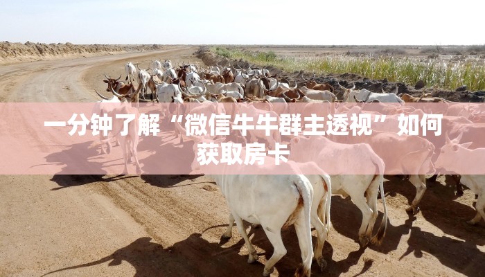 一分钟了解“微信牛牛群主透视”如何获取房卡