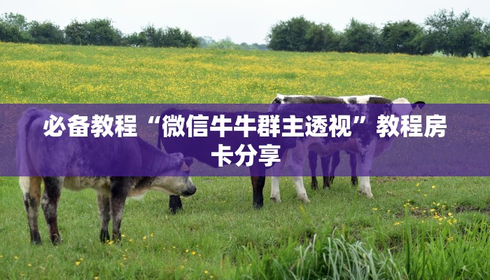 教大家获取房卡“新世界在哪购买房卡”微信链接房卡分享