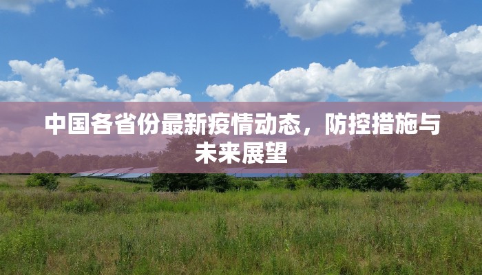 中国各省份最新疫情动态，防控措施与未来展望