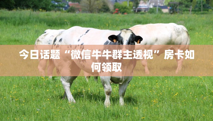 今日话题“微信牛牛群主透视”房卡如何领取