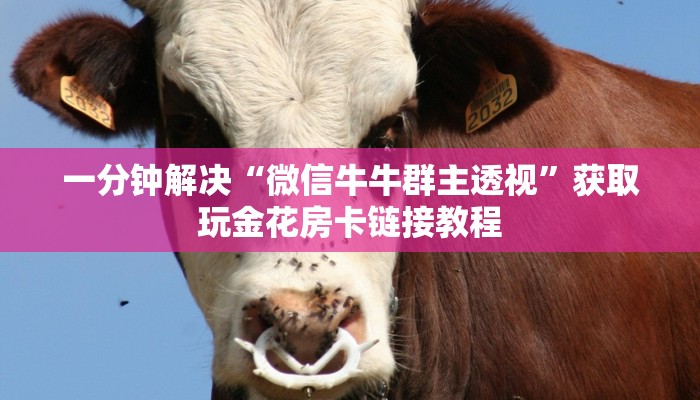 一分钟解决“微信牛牛群主透视”获取玩金花房卡链接教程 一分钟解决“微信牛牛群主透视”获取玩金花房卡链接教程
