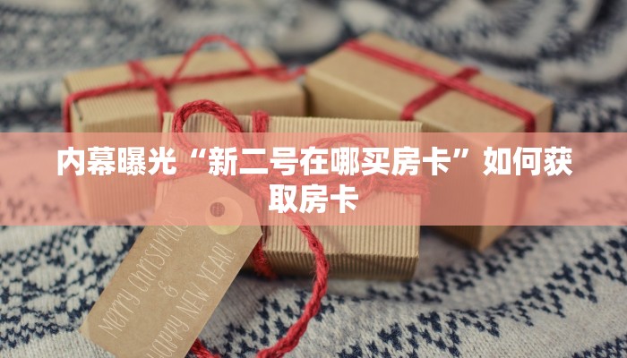 内幕曝光“新二号在哪买房卡”如何获取房卡