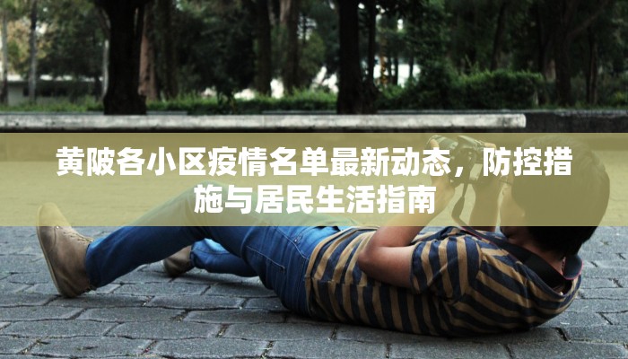 黄陂各小区疫情名单最新动态，防控措施与居民生活指南