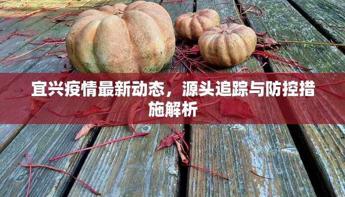 宜兴疫情最新动态，源头追踪与防控措施解析