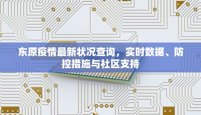 东原疫情最新状况查询，实时数据、防控措施与社区支持