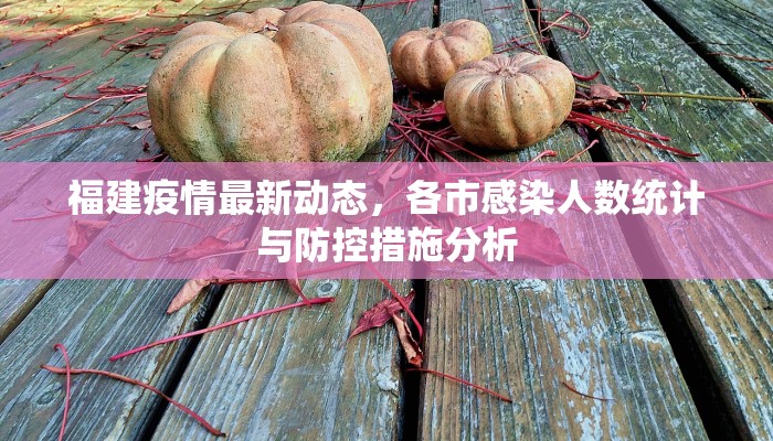 福建疫情最新动态，各市感染人数统计与防控措施分析