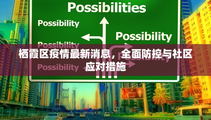 栖霞区疫情最新消息，全面防控与社区应对措施