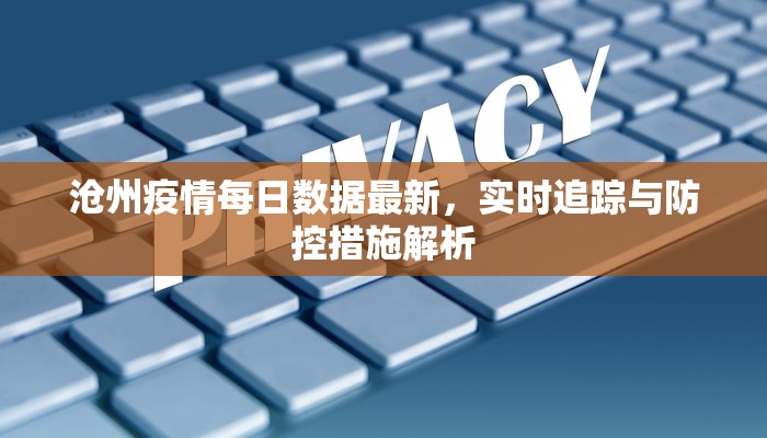 沧州疫情每日数据最新，实时追踪与防控措施解析