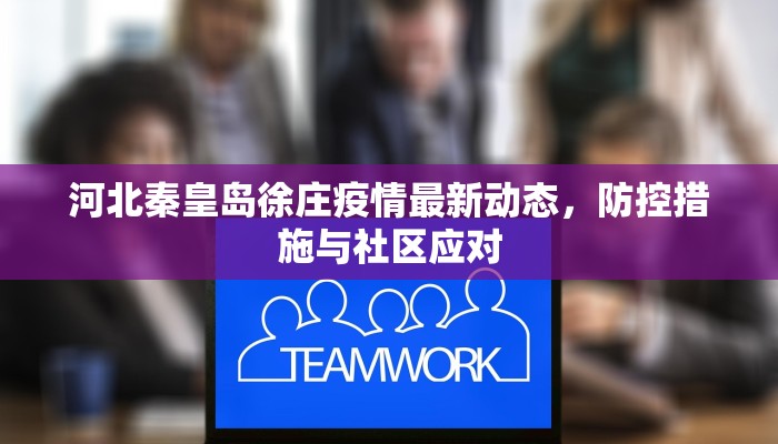 河北秦皇岛徐庄疫情最新动态，防控措施与社区应对