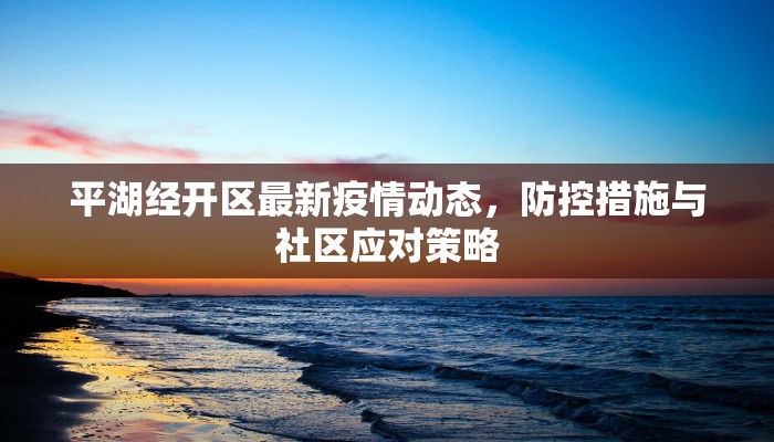 平湖经开区最新疫情动态，防控措施与社区应对策略