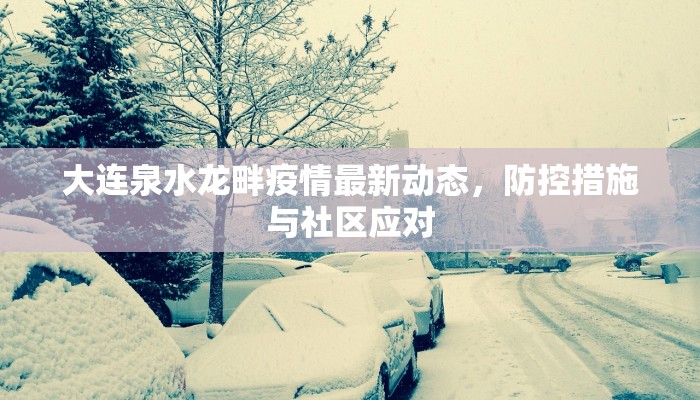 大连泉水龙畔疫情最新动态，防控措施与社区应对