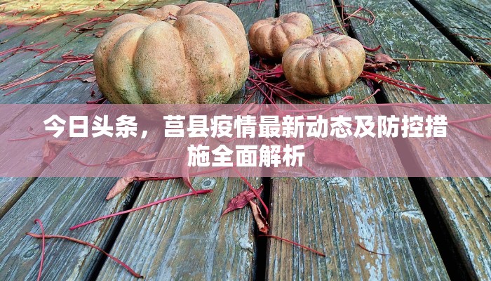 今日头条，莒县疫情最新动态及防控措施全面解析