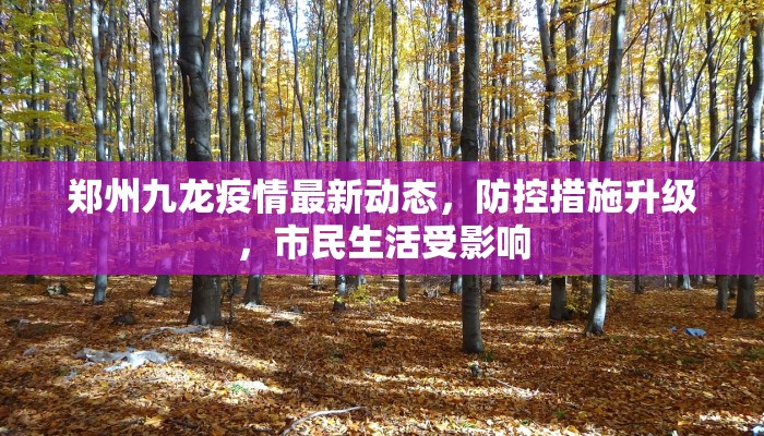 一分钟了解“天酷房卡多少钱购买”详细房卡点评