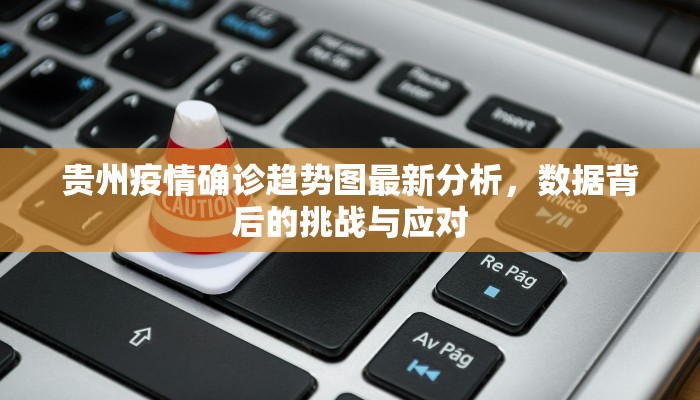 贵州疫情确诊趋势图最新分析，数据背后的挑战与应对