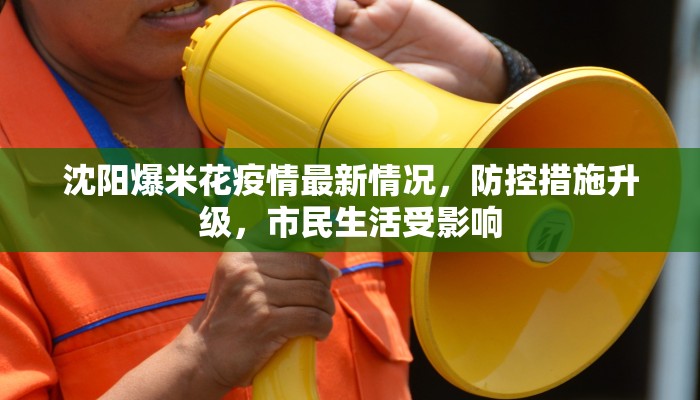 沈阳爆米花疫情最新情况，防控措施升级，市民生活受影响