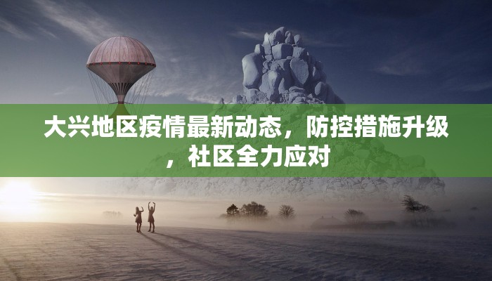 大兴地区疫情最新动态，防控措施升级，社区全力应对