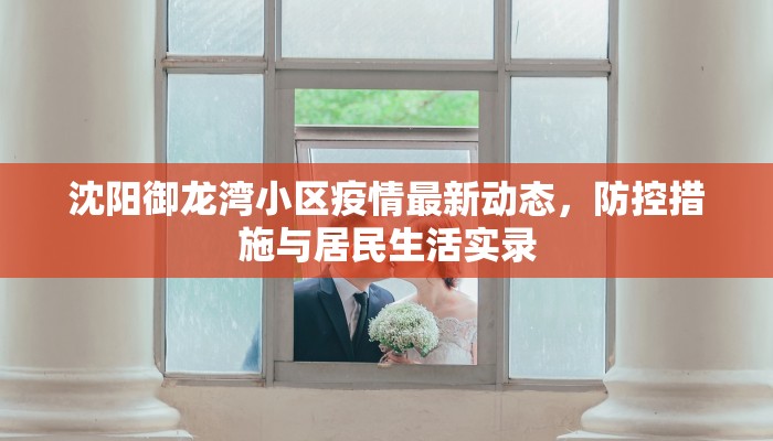 沈阳御龙湾小区疫情最新动态，防控措施与居民生活实录