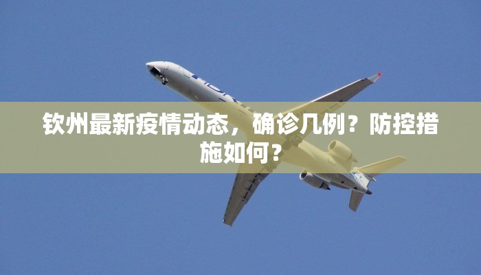 钦州最新疫情动态，确诊几例？防控措施如何？
