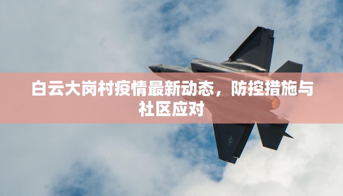 白云大岗村疫情最新动态，防控措施与社区应对