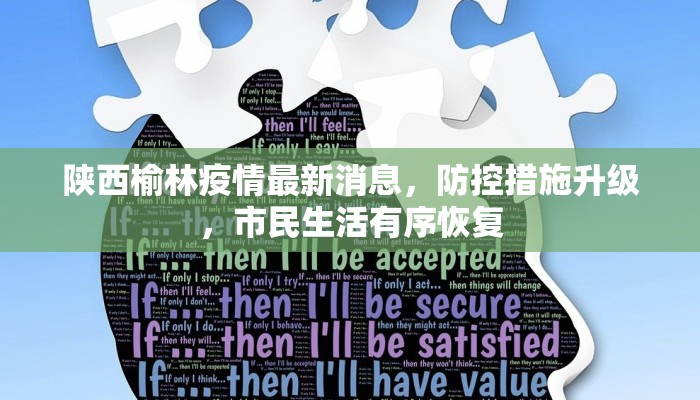 陕西榆林疫情最新消息，防控措施升级，市民生活有序恢复