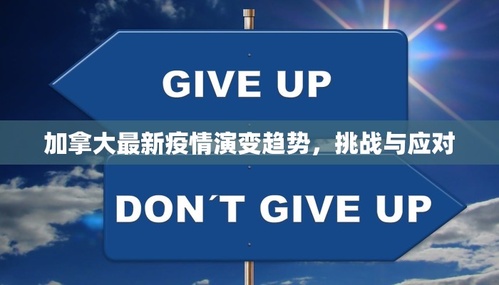 加拿大最新疫情演变趋势，挑战与应对