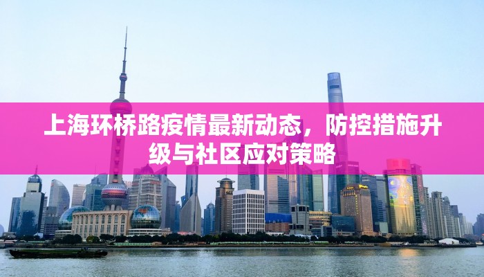上海环桥路疫情最新动态，防控措施升级与社区应对策略