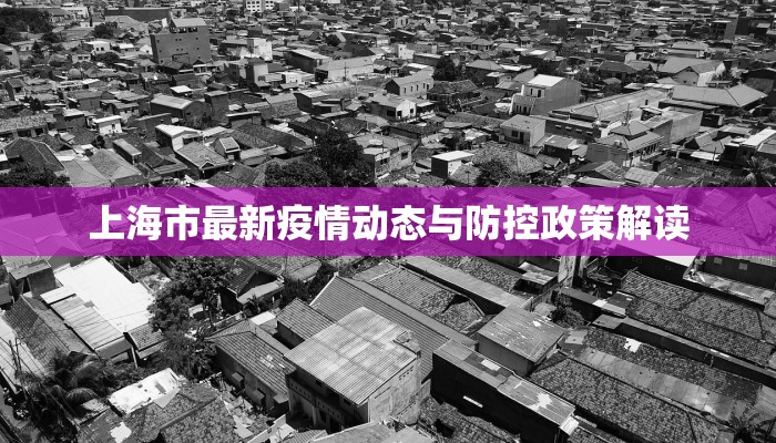 上海市最新疫情动态与防控政策解读