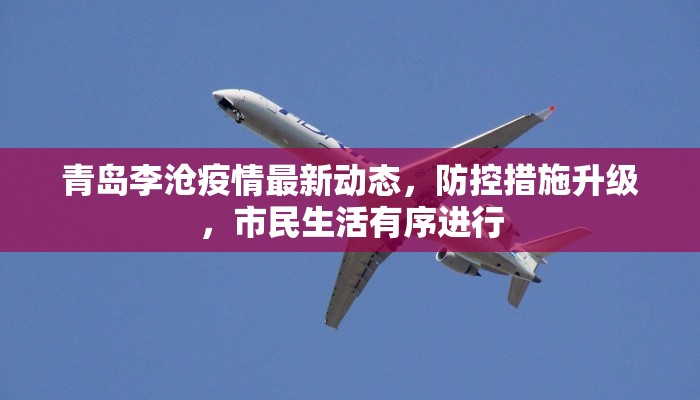 青岛李沧疫情最新动态，防控措施升级，市民生活有序进行