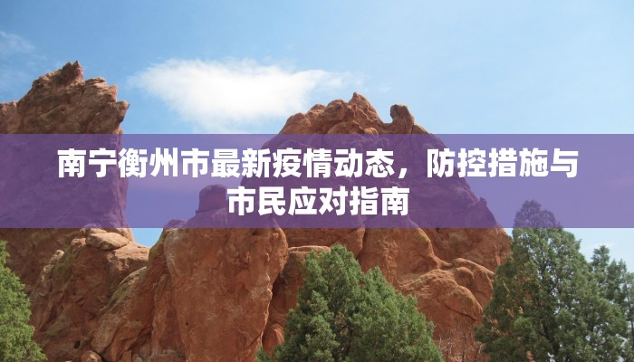 南宁衡州市最新疫情动态，防控措施与市民应对指南