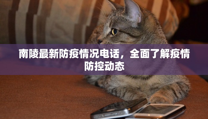 南陵最新防疫情况电话，全面了解疫情防控动态