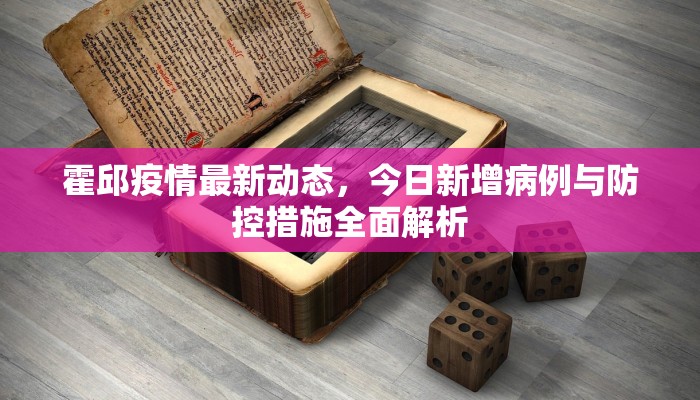 沧州疫情下的工地实况，最新图片揭示防控与建设的双重挑战