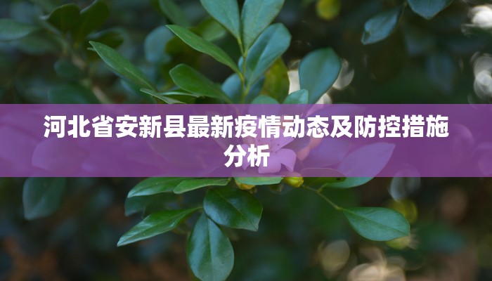 河北省安新县最新疫情动态及防控措施分析