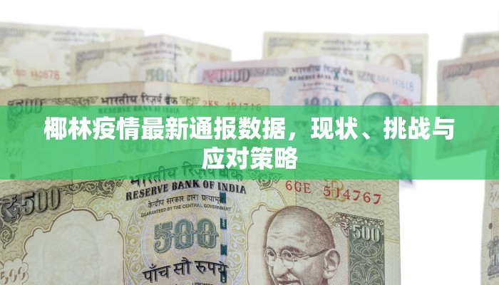 椰林疫情最新通报数据，现状、挑战与应对策略