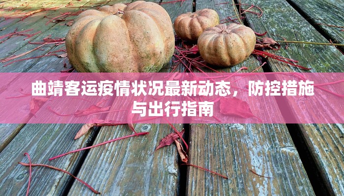 南国肺炎疫情最新情况，防控进展、挑战与未来展望