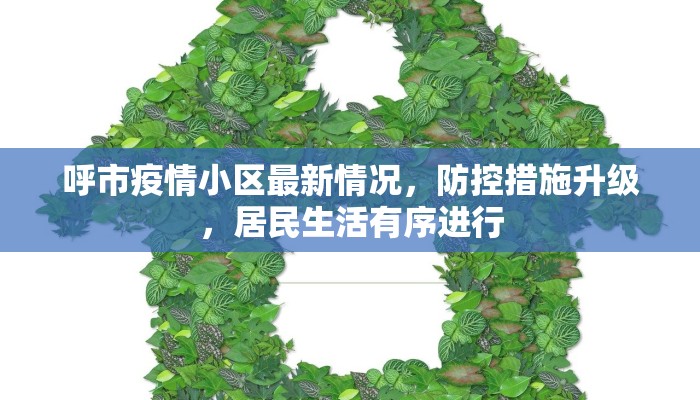 呼市疫情小区最新情况，防控措施升级，居民生活有序进行