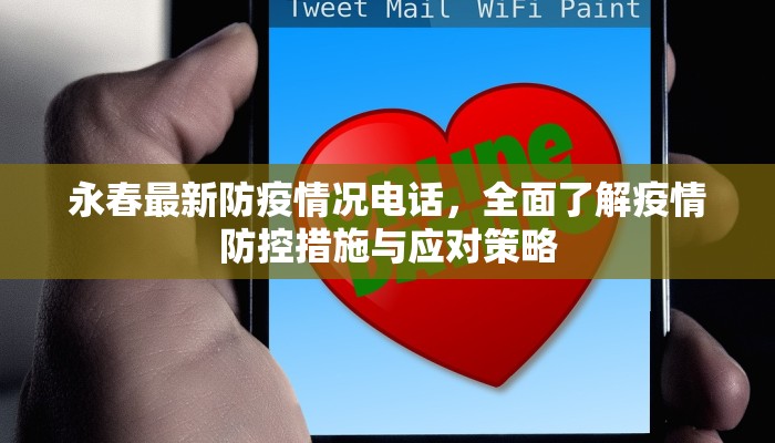 永春最新防疫情况电话，全面了解疫情防控措施与应对策略