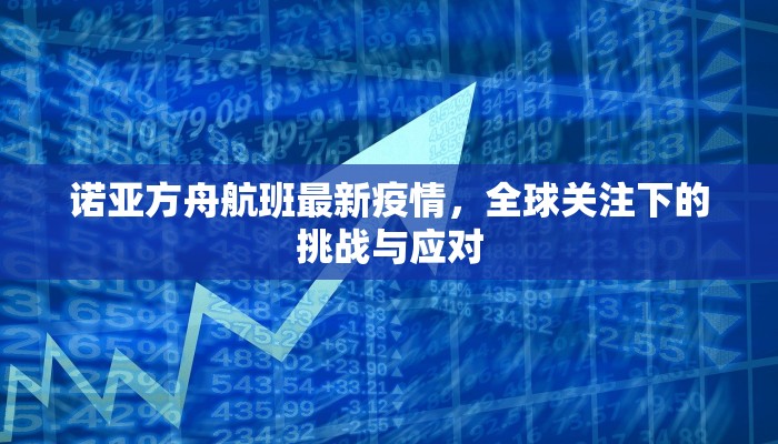 诺亚方舟航班最新疫情，全球关注下的挑战与应对