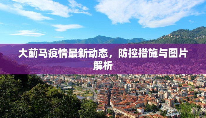 大蓟马疫情最新动态，防控措施与图片解析