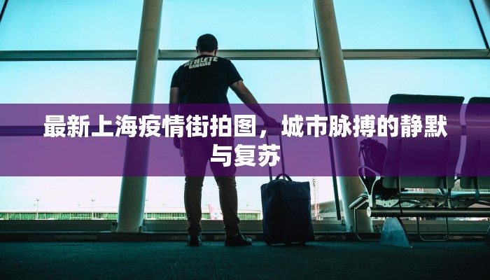 成都疫情最新通报19日，防控措施升级，市民生活有序应对